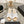 platform sandal 90 cross white calfskin