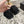 CC 25A Loafer Black Sherpa Suede