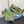 CUT-OUT BALLERINAS IN OLIVE GREEN SATIN