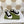 GG JULIO SNEAKER WITH WEB BLACK CANVAS
