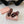 Miu Thong Sandals In Sienna Brown Shiny Lambskin With Silver Buckle