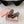 Miu Thong Sandals In Coffee Brown Lambskin With Silver Buckle