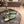 LP MINDIL SANDAL ROBIN 'S EGG SILK