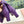 Miu Boots With Buckle Purple Nappa Leather 506635