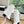 CC 25 High Boot White Calfskin Black Grosgrain 430336