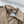 Celine 25 Trench Coat Khaki Wool 299519
