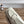 HM 26s Kelly Mini 22cm Milky White Croc Embossed Calfskin