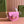 Gucci Horsebit Bag Pink Leather 239806