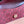Gucci Dionysus Bag Rosso Ancora Red Suede Leather 244473