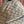 Gucci Snake Pattern Backpack Beige mix Brown Blue Calfskin Canvas 244338