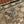 Gucci Snake Print Bag Beige mix Blue Canvas 248145