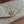 Gucci Ophidia 22cm Bag Beige White Canvas 255219