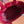 GG 2025 Marmont Tote Bag 29cm Rosso Ancora Red Sheepskin 273627