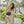 FF PONCHO IN TUSCAN BEIGE CASHMERE 413684