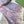 SCARF 200 CM IN LIGHT PINK MIX GRAY CASHMERE 396379