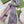SCARF 200 CM IN LIGHT PINK MIX GRAY CASHMERE 396379