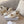 CD 26s Shade Ballet Flats Cream Satin 939598