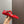 Alaila Criss Cross Ballet Flats In Red Glossy Calfskin 996033