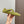 Alaia 2025 Criss Cross With Stud Ballet Flats Avocado Green Suede 293209