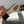 The Row 2025 Square Toe And Bow Accent Long Boot Brown Sheepskin 540514