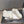CD Star sneakers white cowhide wool 539687