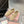 Miu 26s Loafer Light Khahi Suede 683946