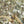 25C Flap Bag 21cm Dense Sequin White Calfskin