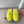 Miu Slippers Lemon Yellow Wool