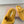 Miu Slippers Dark Yellow Wool