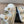 DAD SANDAL IN WHITE MIX COLORFUL FABRIC