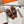 HM Mona Sandals Coffee Leather 799036