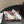 DC 25 Mary Jane White Lace And Sheepskin 381623