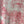 CD Animal T-shirt Pink Cotton Linen
