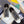 CD B23 Low-Top Sneaker 35mm White Black Oblique Jacquard Fabric