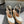 Alaila Wedge Sandals 115mm In White Glossy Lambskin 954889
