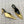 POINTED BB GOLD BUCKLE HEELED SLINGBACK IN GOLD METALLIC SHINY CALFSKIN