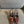 JACQUELINE SLINGBACK PUMPS IN WINE RED PATENT LAMBSKIN