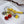 HM Red Cherry Charm