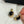 CC 26FW Gorgeous Pearl Gold Earrings 007