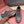 LP Katharina Sneaker Coffee Olive Green Technical Fabric Wool 521685