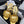 CC 25 Slingback Gold Lambskin 233402