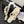 CC 25 Flower Thong Slippers White Cowhide 233415