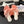 CC 25C Thong Sandal Bow Pink Velvet fabric 233567