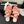 CC 25C Three Strap Mule Pink Velvet fabric 233561