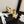 cc25 slingback sandal ̣65mm bow black grosgrain gold canvas 233590