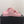 CC 25 Dad Sandal Mule Pink Calfskin
