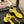 CC 25 Thong Sandal Double C Leather