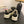 CC25 Sneaker Black Beige Canvas 288782
