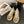 CC25 Sneaker Brown Beige Canvas 288785