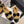 CC 26 Fur-lined Loafer With Bow Black Beige Wool Leather 588824